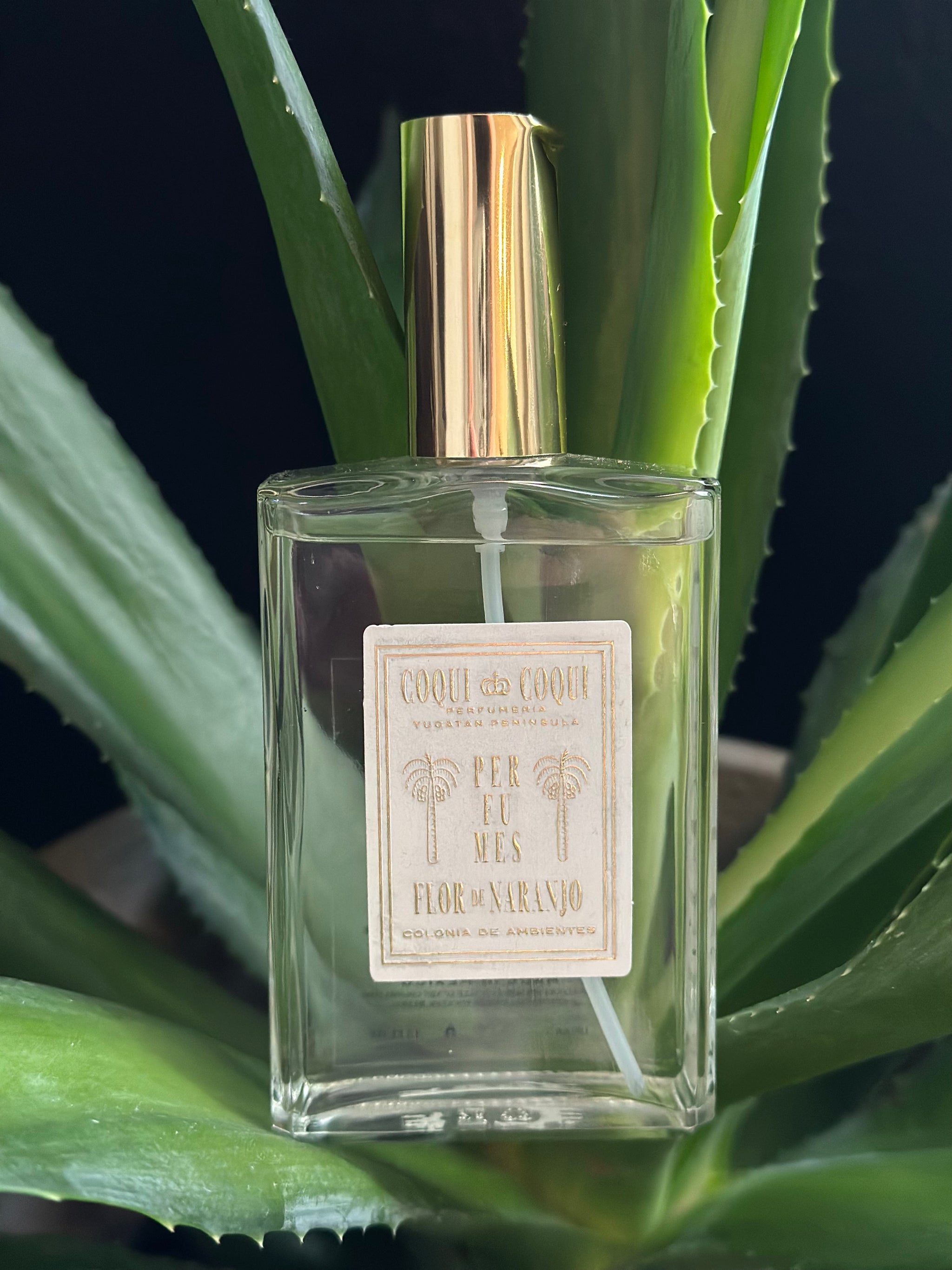 Coqui Coqui コキコキ　リネンスプレー　SANTYLAN  100ml リネンスプレー 